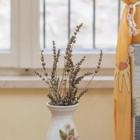 Pensionat Blue Wave Dubrovnik